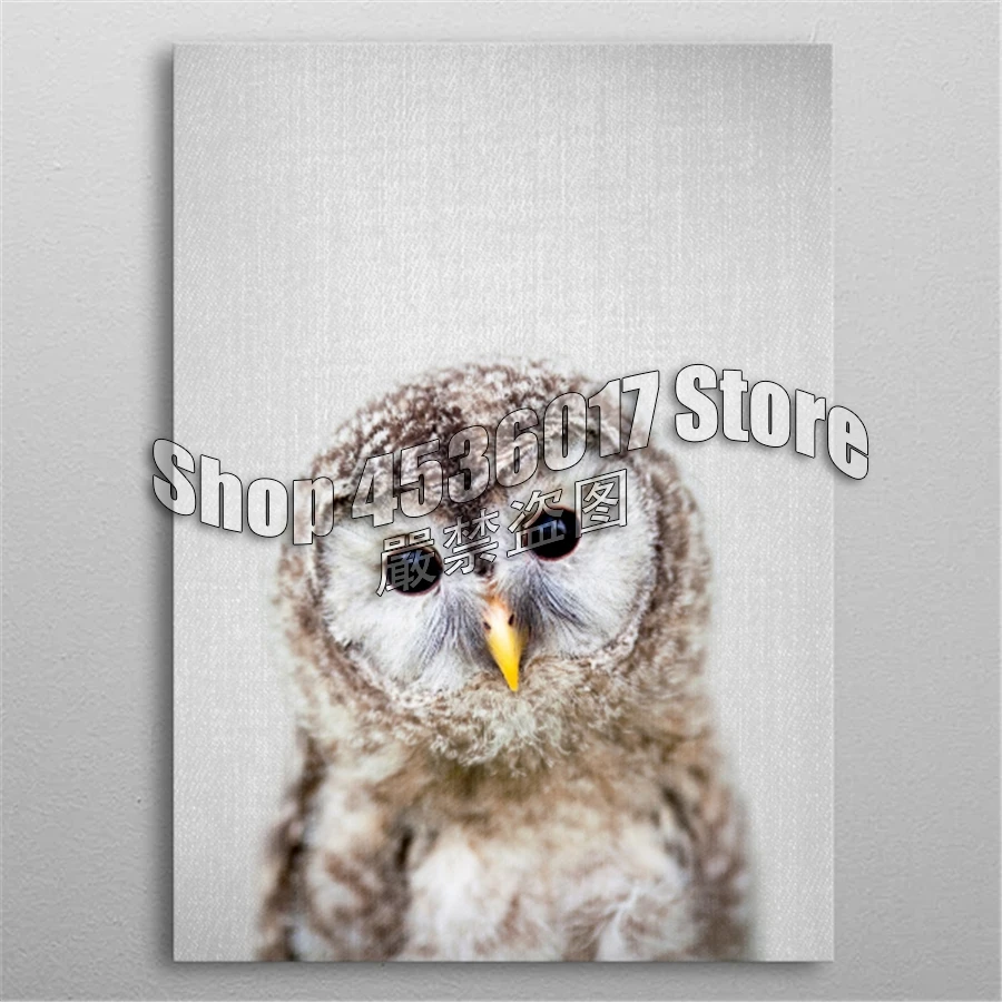 

Animals 5d Diy Diamond Painting Cross Stitch Colorful Owl Diamond Embroidery Mosaic Full Square Rhinestone Gifts Home Decor