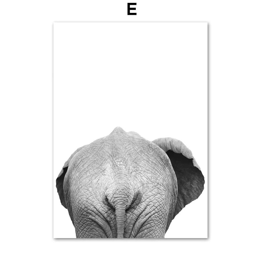 Носорог Бегемот слон жираф овца скандинавские плакаты и принты настенные художественные картины на холсте настенные картины для декора гостиной - Цвет: E
