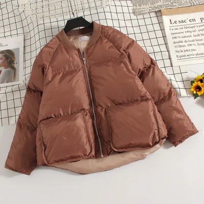 Теплая утолщенная хлопковая Куртка парка Повседневная Свободная Женская зимняя куртка Женская бейсбольная верхняя одежда короткие пальто Топы размера плюс AB1175 - Цвет: Rusty red
