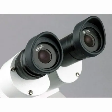 B0058WX16U.PT05.jpg