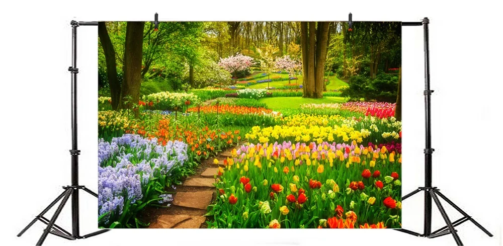 Laeacco весенний цветок Цветущая цветы садовый путь открытый живописный фото фон для фотосъемки фоны фотосессия Фотостудия