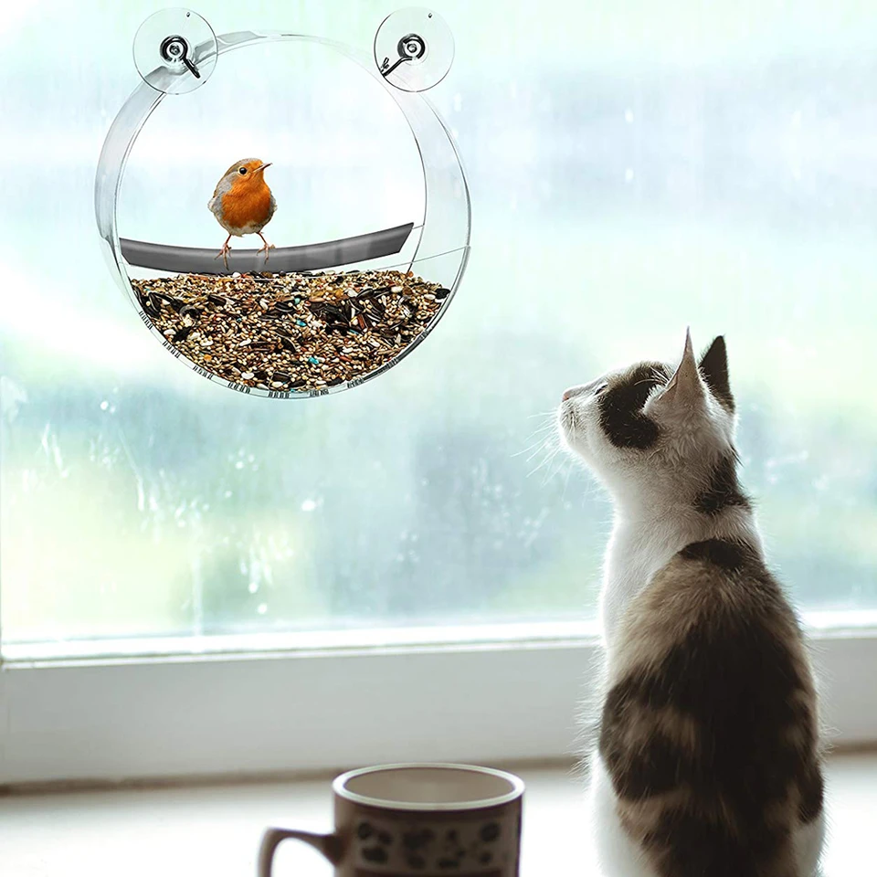 Bird Feeder Acrylic Transparent Food Box Round Hanging Sparrow