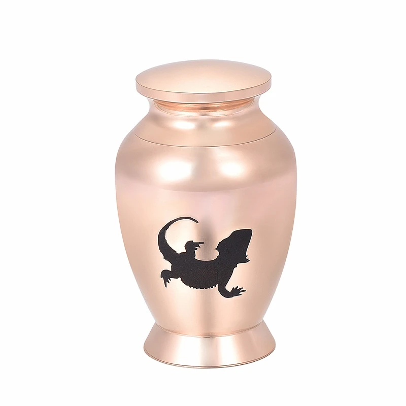 labradoodle grooming pictures