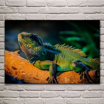 

Iguana lizard animal living room decoration home art decor wood frame fabric poster KF420