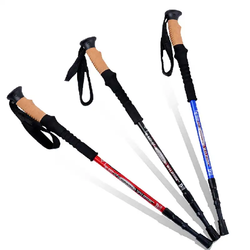retractable ski pole