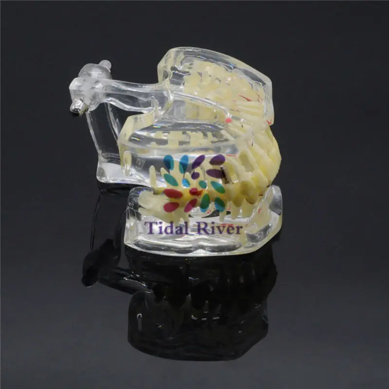 F-D-AL-016--4001-05