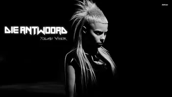 

Home decoration that answer yolandi visser watkin jones black Silk Fabric Poster Print XD042