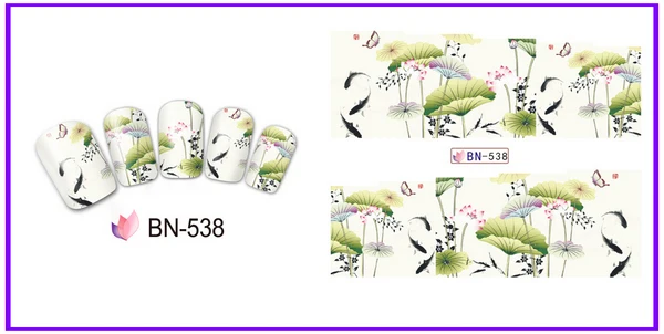 BN-538