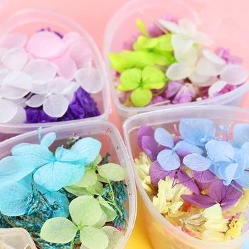 

4 Boxes 6 Boxes Dried Flowers Nail Decoration Mixed Preserved Flower With Heart-Shaped Box DIY 3D Nail Art Decorations