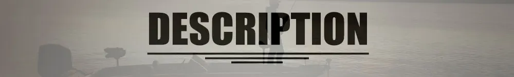 DESCRIPTION
