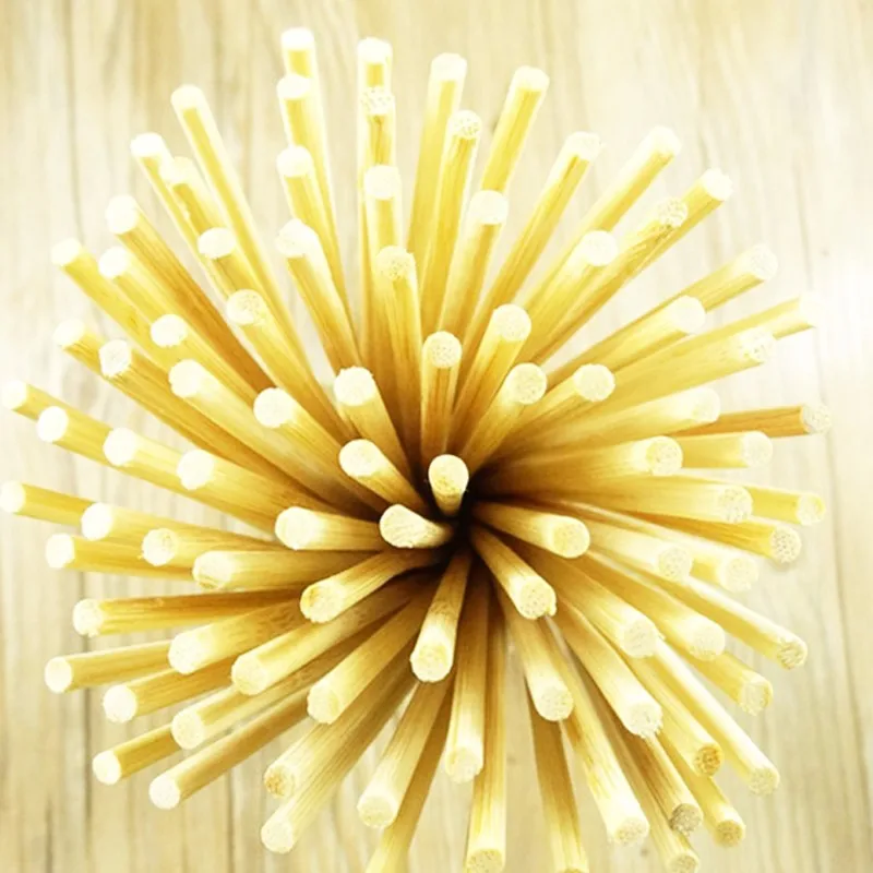 Meat food disposable sticks (6)