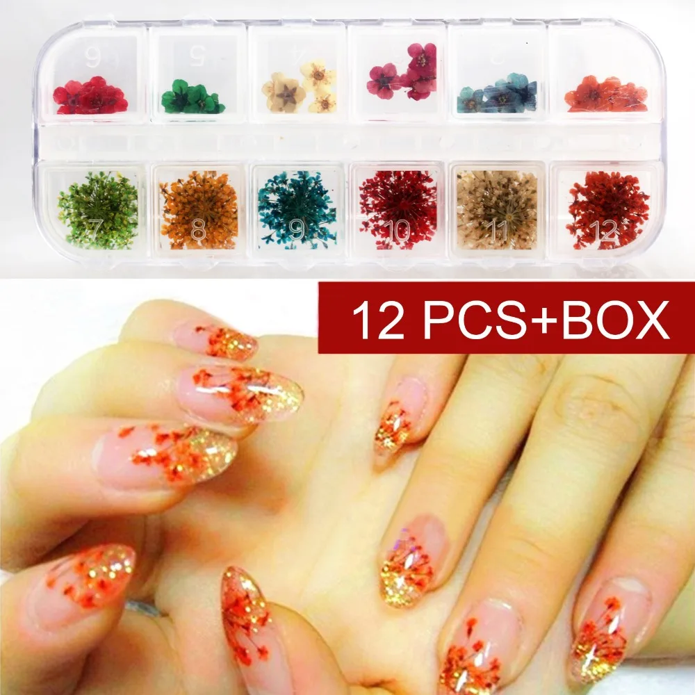 Dried Flower Nail Art Slybury Com New Hot 36pcs 12 Colors Real Dry Dried Flowers Nail Art Decoration Diy Tips Free Shipping