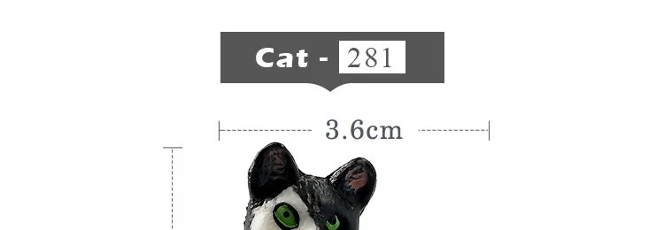 -8--MY6221_06