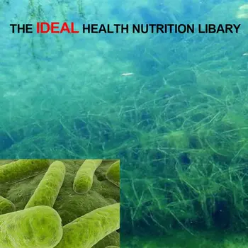 

BOLIKIM 250mgx200p Spirulina For People