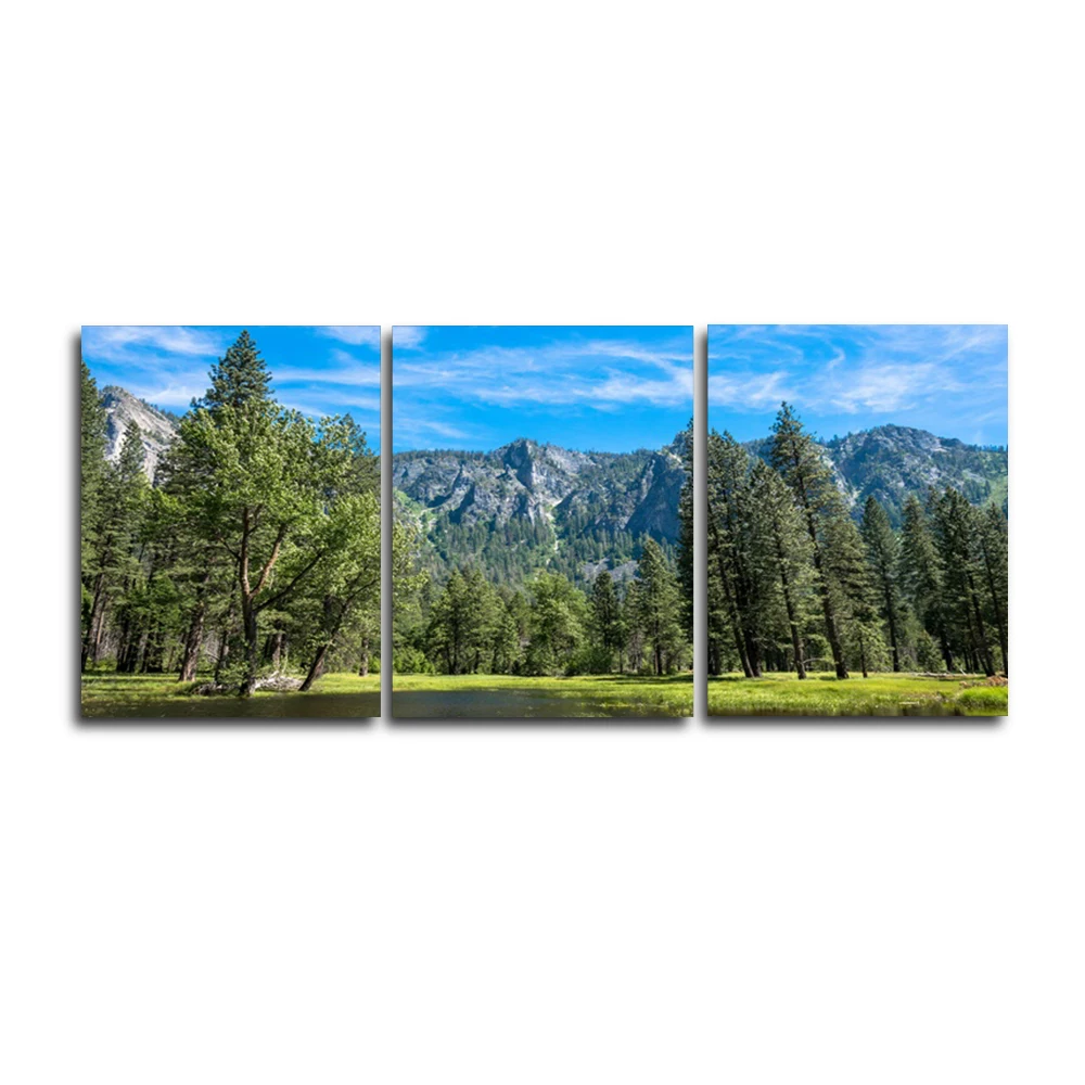 

Laeacco Natural Scene Green Tree Wall Art Outside Posters Prints Nordic Home Decor Canvas Paintings for Living Room Decoration