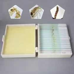 25 шт. Professional биология исследование подготовленные насекомые комаров Housefly пчелы бабочка Chafer образца Scetion микроскоп направляющие