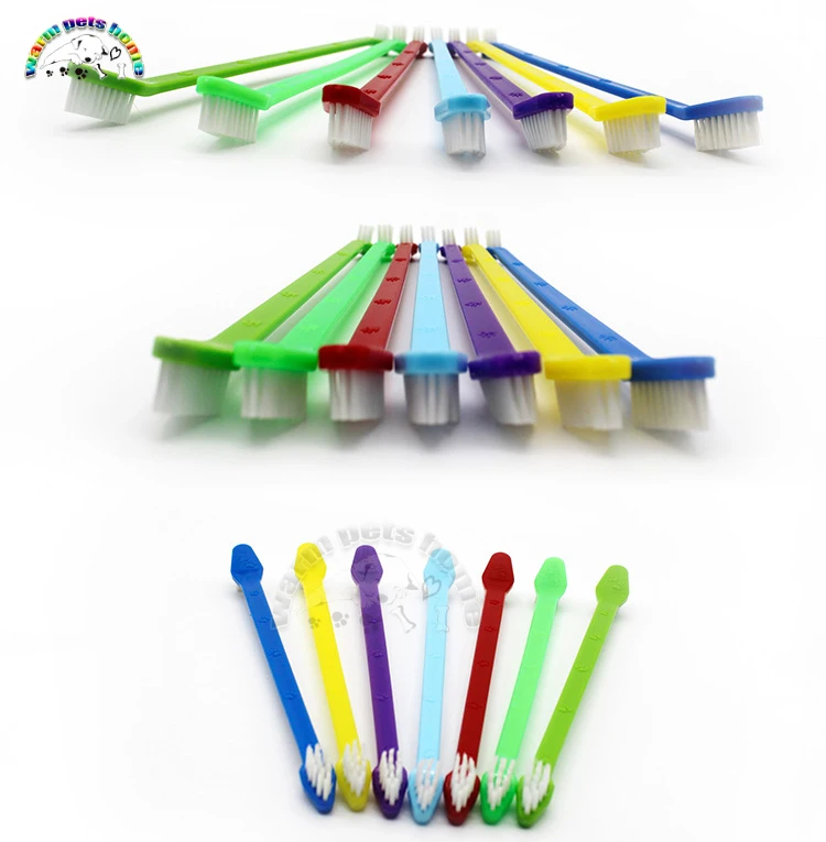 dog toothbrush stick