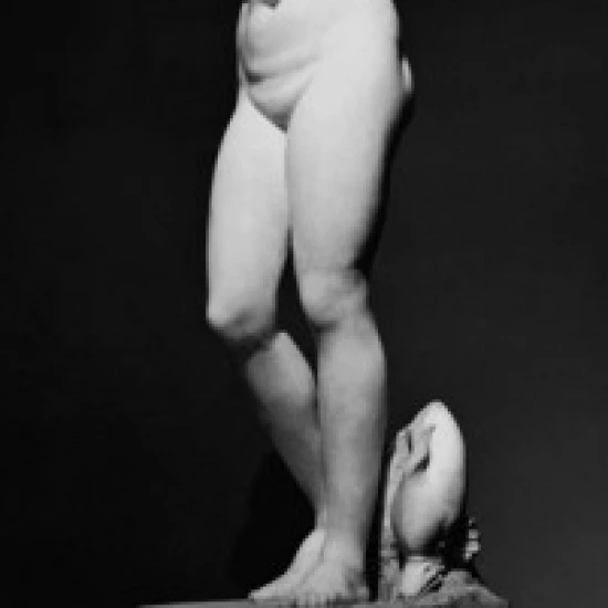 Aphrodite Greek Art Poster Print (18 x 24)