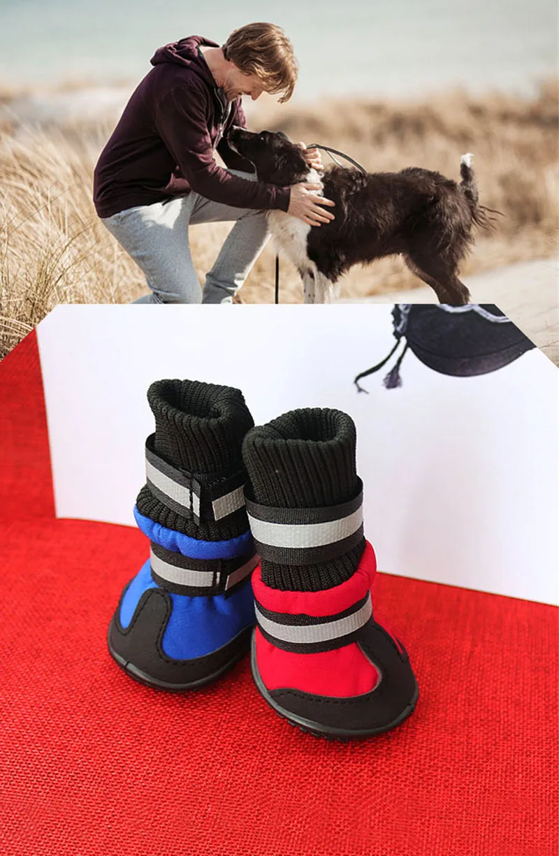 puppy shoes