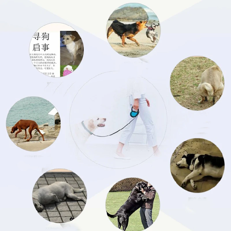 New 3M Pet Dog Cat lead Automatic Retractable Dog Leash Puppy Pet Traction Rope Chain Harness Dog collars Leash Pet Supplies6