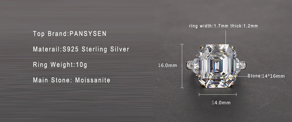 ysr100 (4)