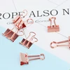 TUTU 10pcs/lot Solid Color Rose Gold Metal Binder Clips Notes Letter Paper Clip Office Supplies H0059 ► Photo 1/6