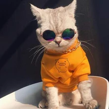 ropa linda de gato