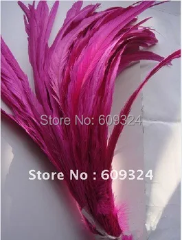 

Wholesale 100pcs/lot 30-35cm Fushia Cock Tail Rooster tail Feather Rooster feather