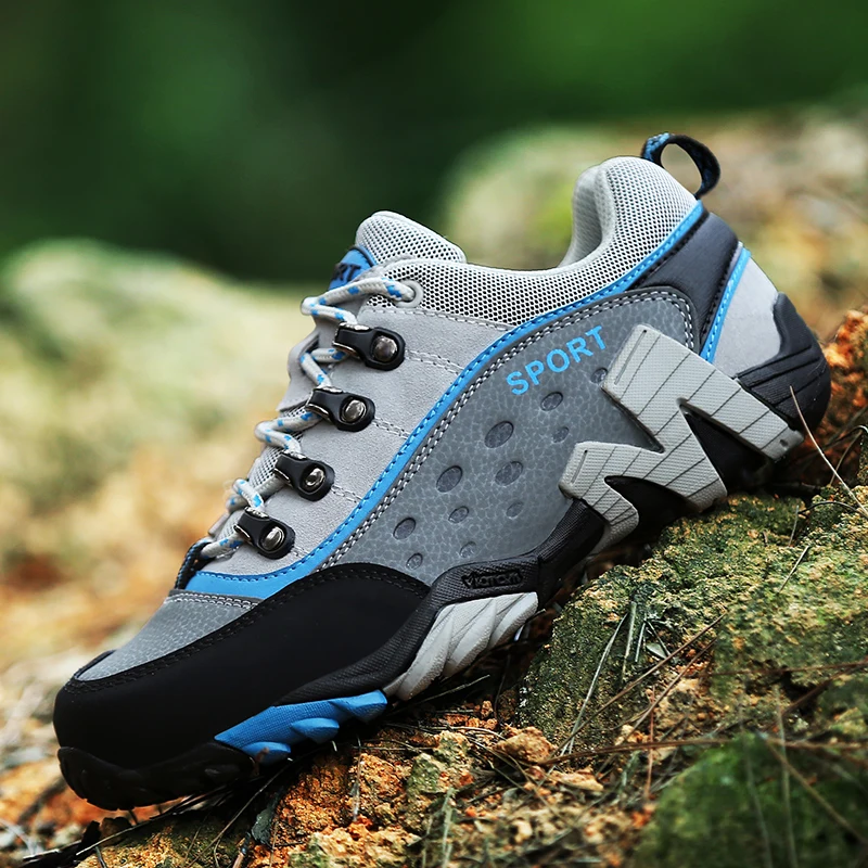 T3_A2944-