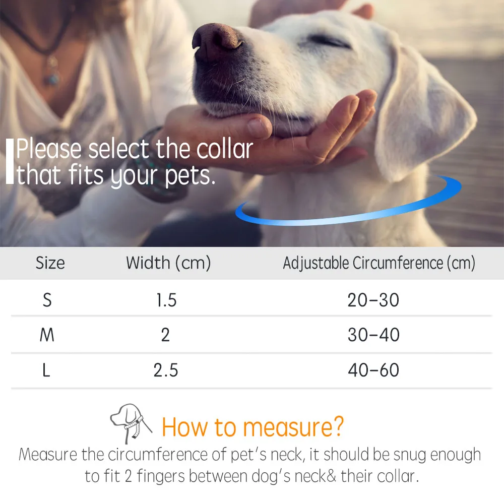 Nylon Personalized Engraved Dog Collar  5 Nylon Personalized Engraved Dog Collar  5