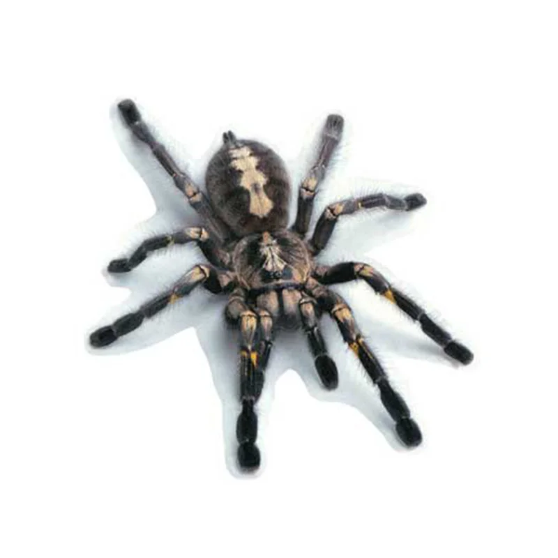 3D PVC Car Sticker Lizard Scorpion Spider Car Body Window Sticker Decal Car Styling