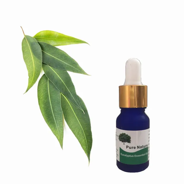 10ml pure natural virgin organic Green Tea oil cold pressed Nature