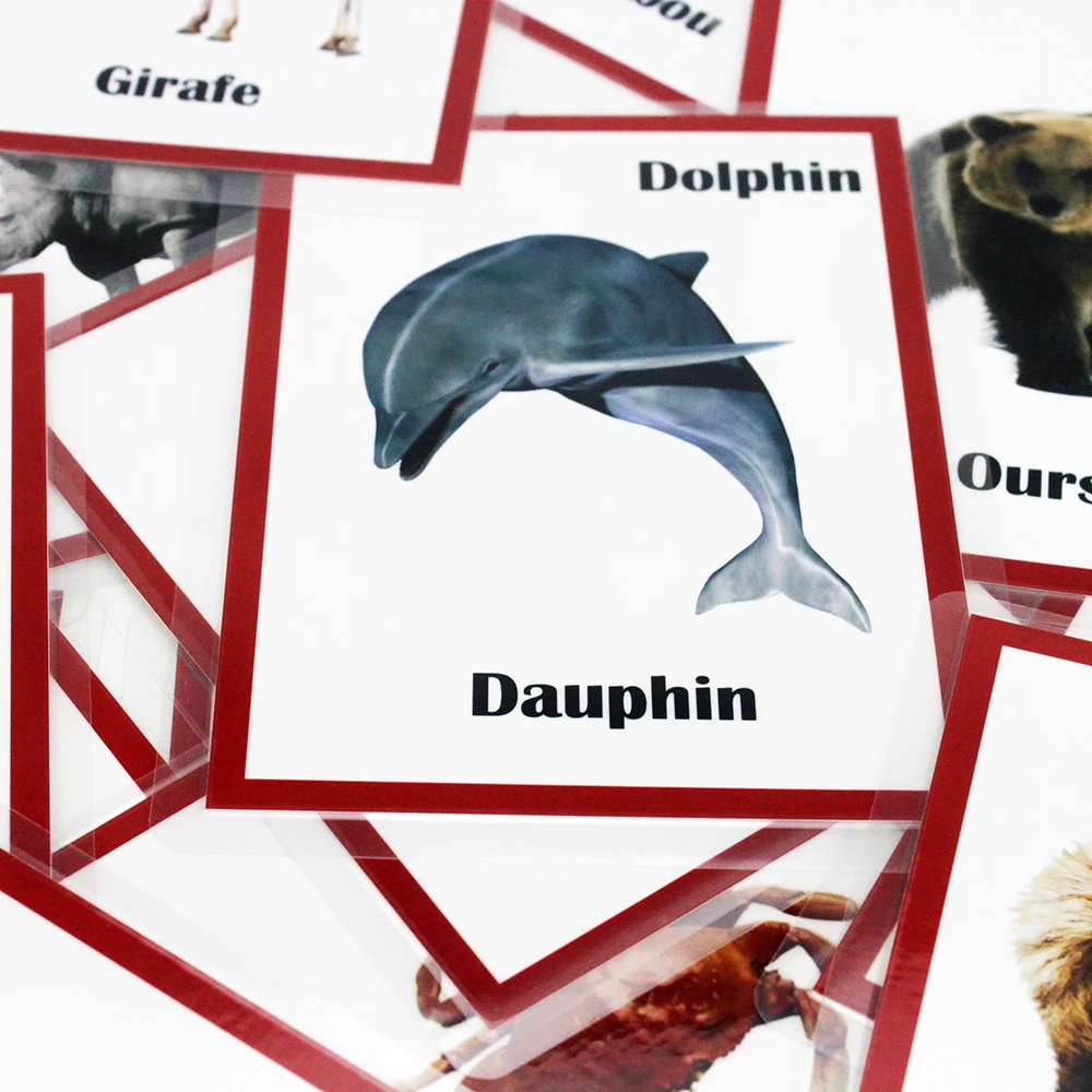 Educativos para Crianças Brinquedos para Crianças Francês Inglês Animais Aprendizagem Flashcards Cartão Jogos Juguetes Educativos 30pcs - 7 Online shopping