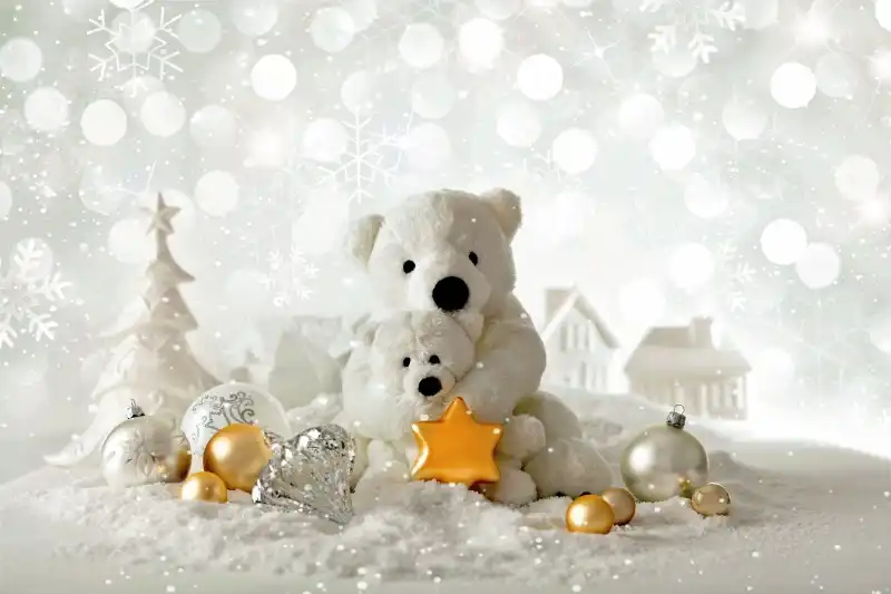 snow teddy bear