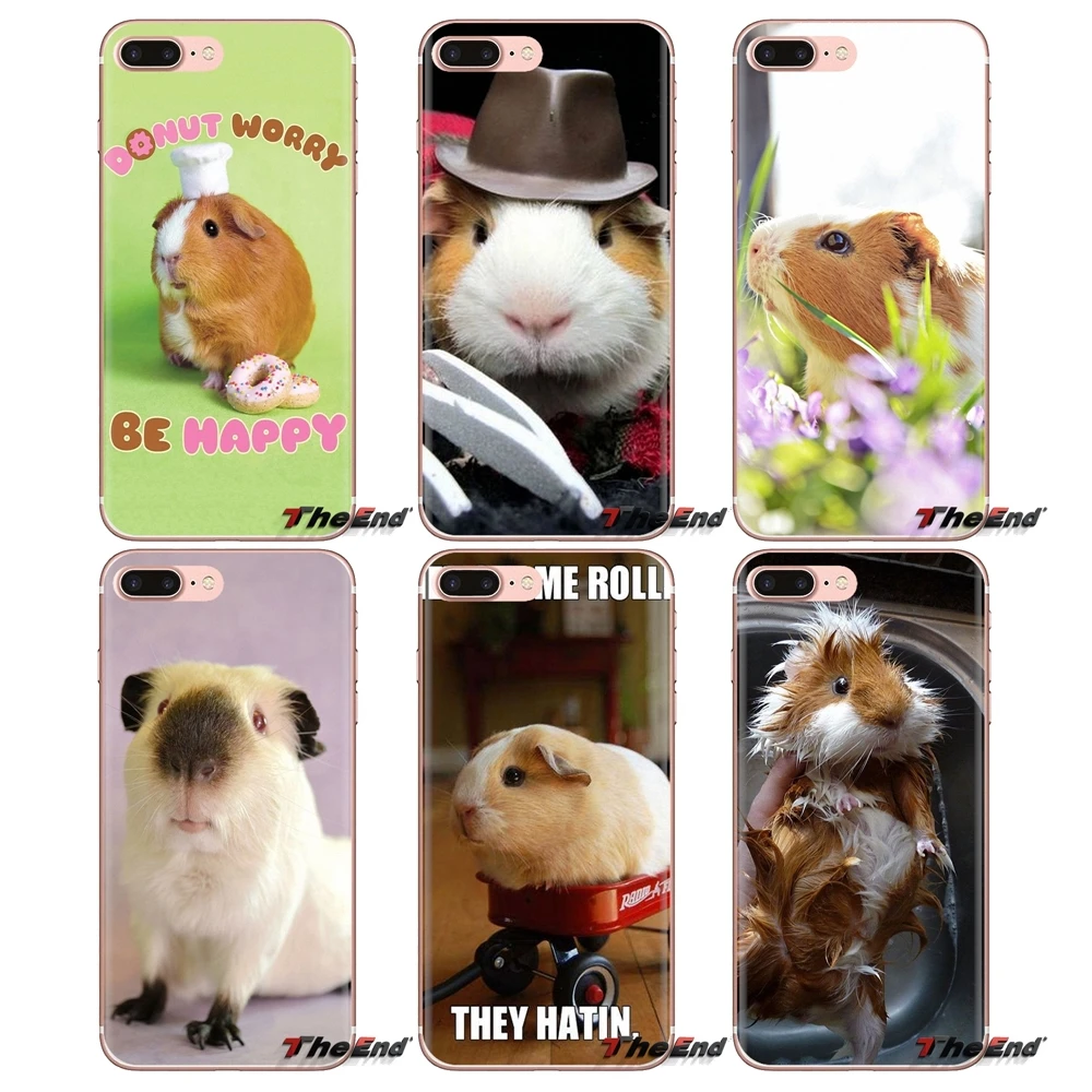 Adorable Funny Guinea Pig For iPod Touch Apple iPhone 4 4S 5 5S SE 5C 6 6S 7 8 X XR XS Plus MAX Transparent Soft Cases Covers |