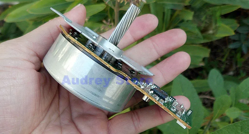 Японский Sanyo Precision DC24V 30 Вт внешний ротор DC бесщеточный двигатель с драйвером для DIY Генератор