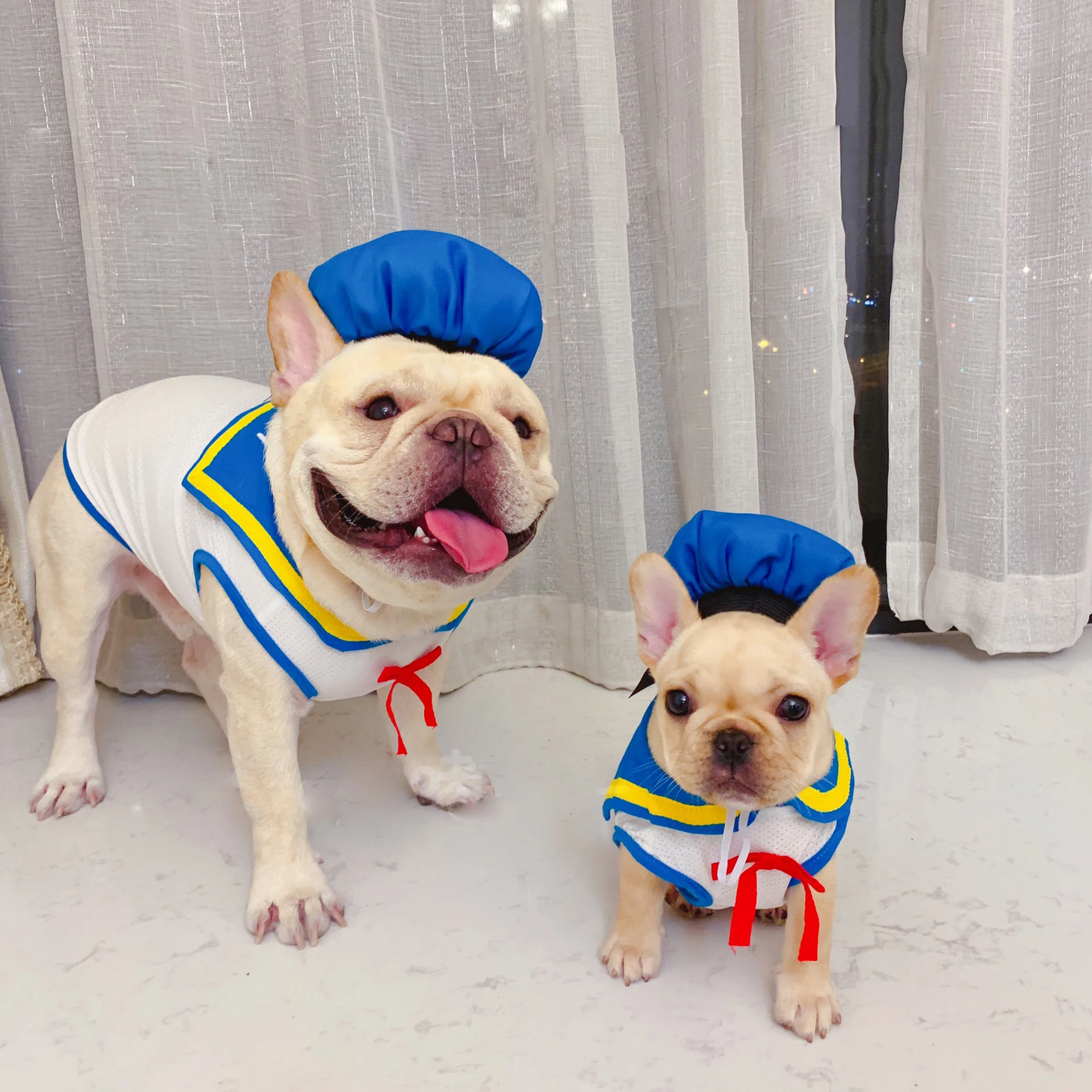 

Pupreme Navy Dog Clothes Summer Like Air Mesh Dog Tshirt Dog Vest Dog Shirt French Bulldog Chihuahua Cat Shirt Pet Clothes