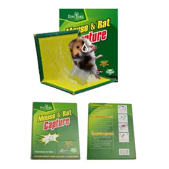

Mouse Sticky Rat Rodent Mouse Glue High Effective Snake Catcher Insect Pest Control Pest Control Reject Non-toxic Eco-Friendly