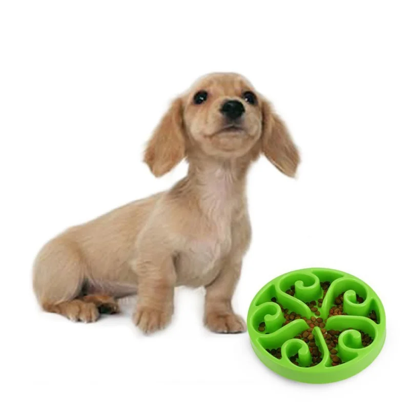 for Kitty Dog Puppy Cats Funny Slow Feeder Bowl Interactive Bloat Stop - Green | Дом и сад