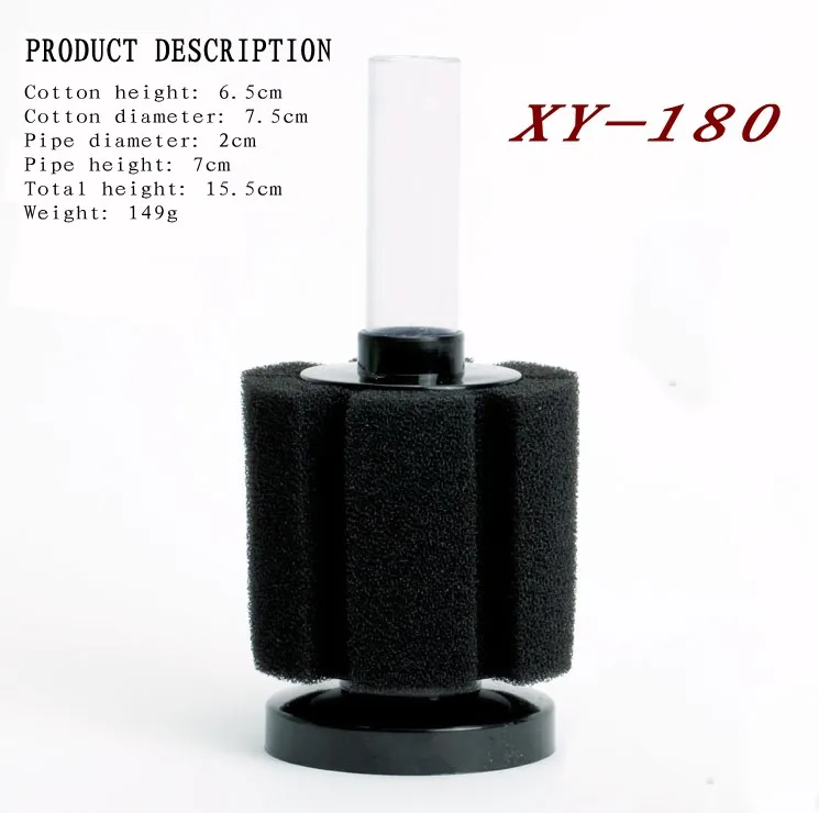 11_conew1