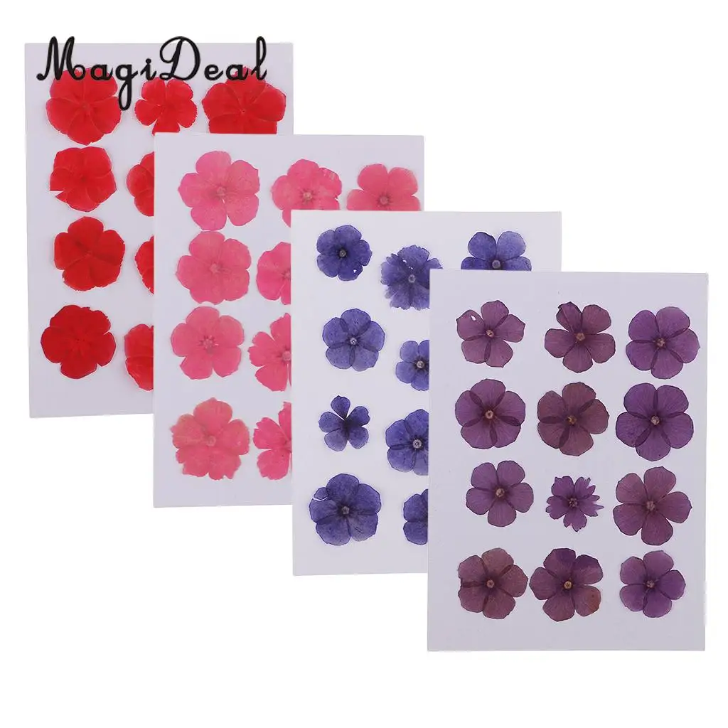 12 Pieces Natural Dried Flowers Real Flower Amaranthus for Kids Craft Card Making DIY Pendants Charms Jewelry