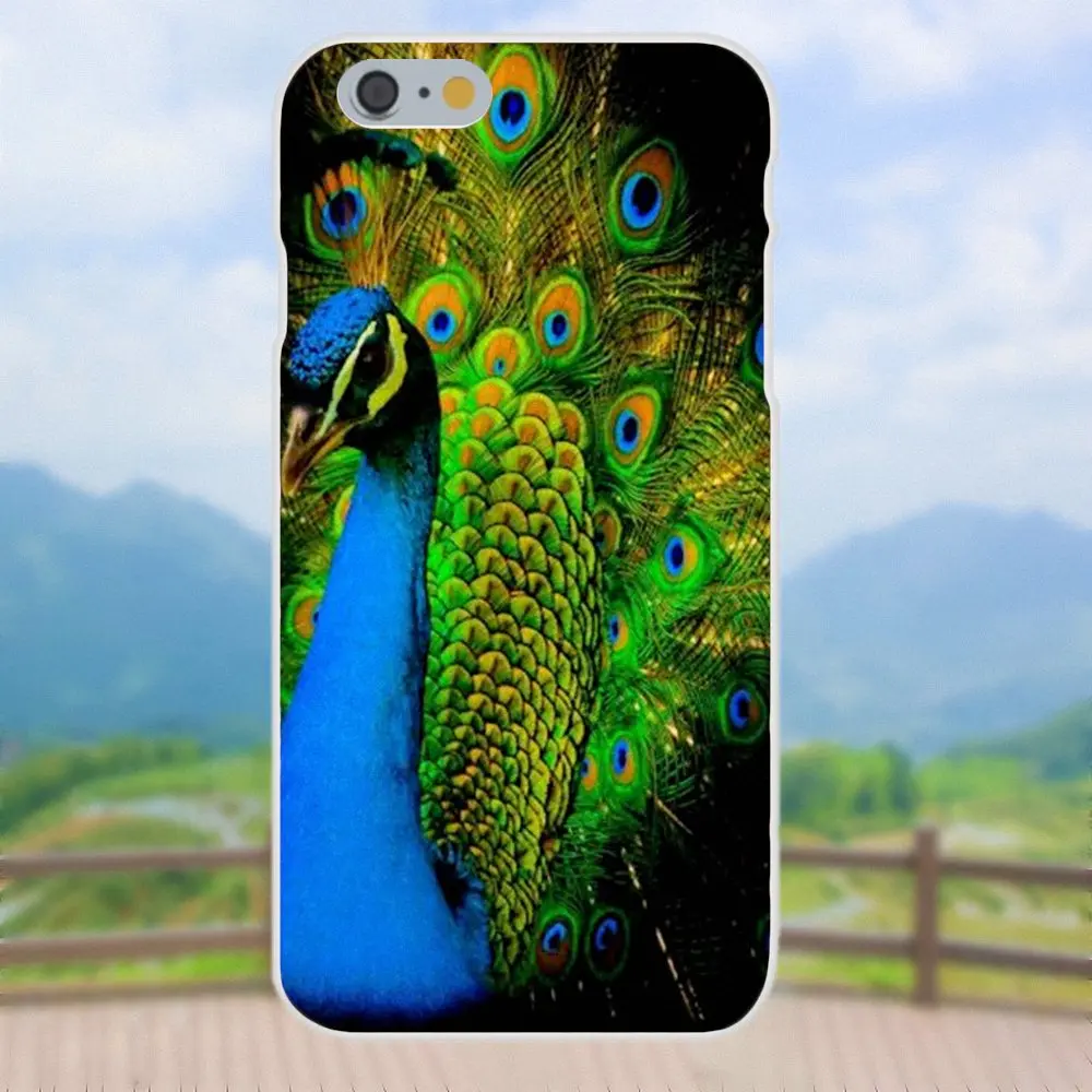2019 король &quotПавлин&quot потрясающими визуальными для samsung Galaxy Note 5 8 9 S3 S4 S5 S6 S7 S8 S9 S10