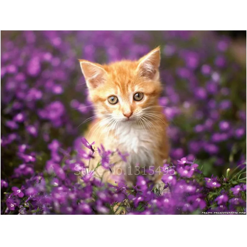 

Diamond embroidery cat painting 30x20cm cross stitch kits picture pastes mosaic diamond pattern needlework art wall sticker N013