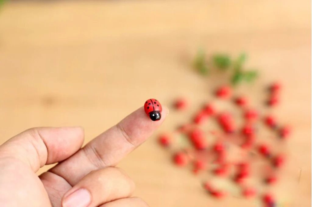100x Miniature Dollhouse Bonsai Craft Garden Landscape Wooden Ladybug Decor