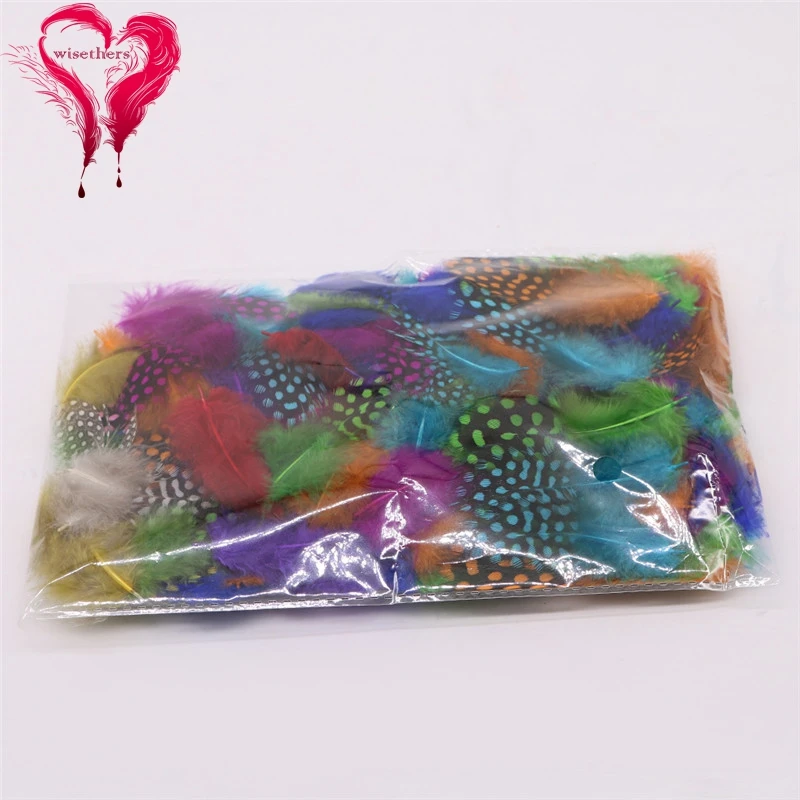 package multicolor guinea fowl feather
