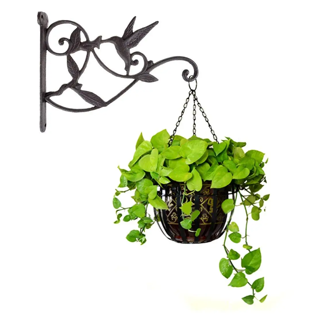 Подвесной крюк для растений Колибри чугунная декоративная корзина для цветов настенные подвесные крючки Кронштейн вешалка для комнатных наружных растений