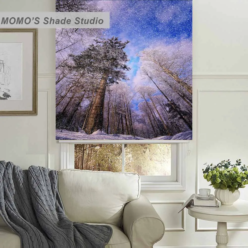 MOMO светомаскировка дерево окна шторы роликовые шторы-жалюзи термоизолированная ткань на заказ живопись, PRB set507-510 - Цвет: PRB509