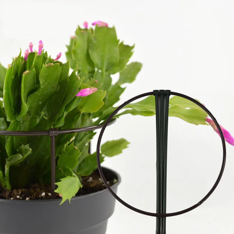 

Plant support pack of 3