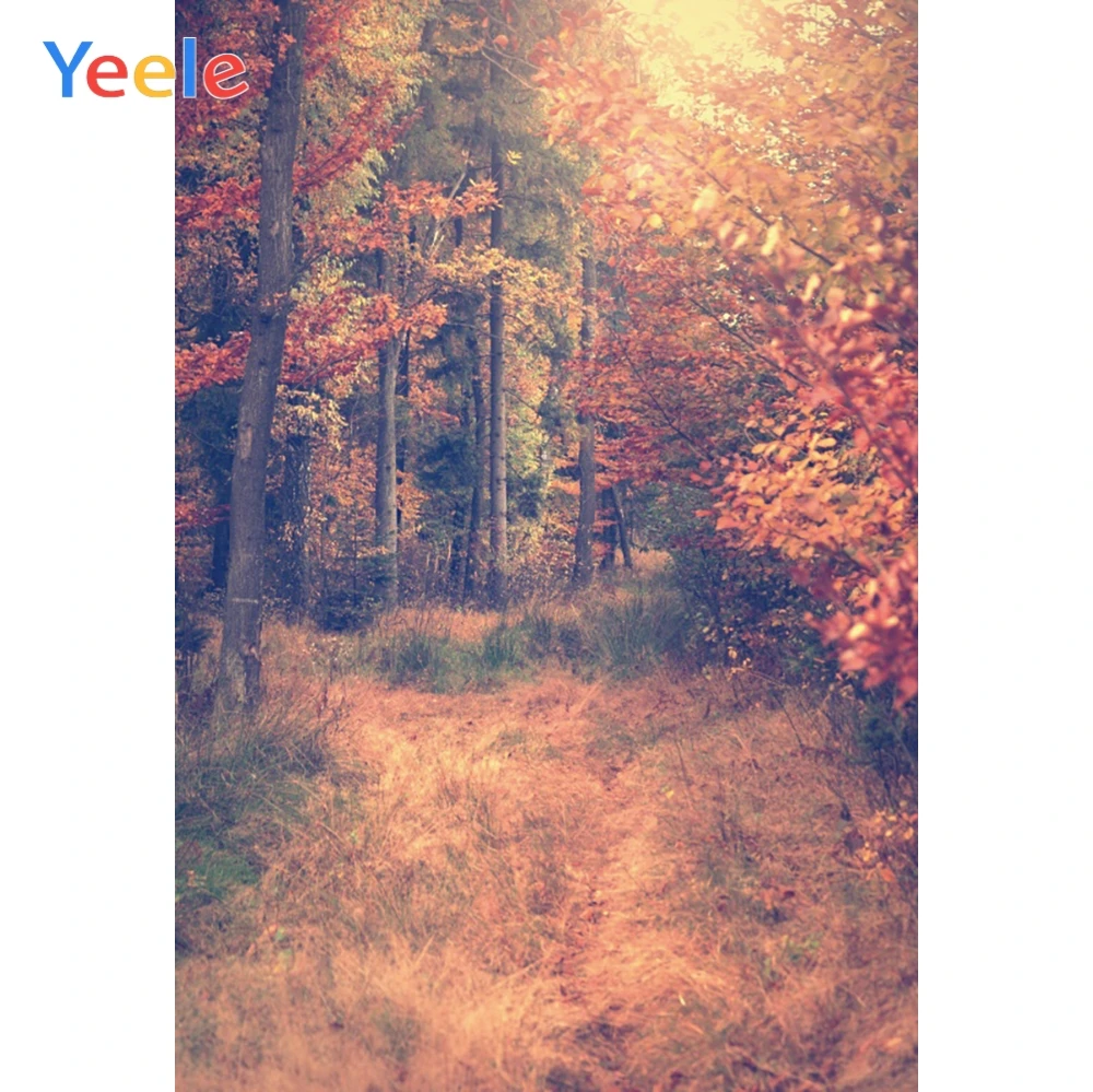 

Yeele Photography Backdrops Autumn Forest Trees Weed Scenery Professional Camera Photographic Backgrounds For The Photo Studio