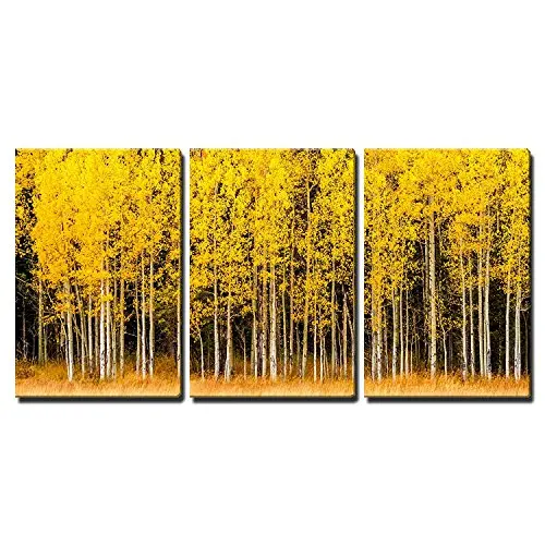 

3 Piece Canvas Wall Art Stand of Changing Yellow Aspen Tree in Front of Dark Green Pine Trees Modern Home Decor No Framed 3 Pane